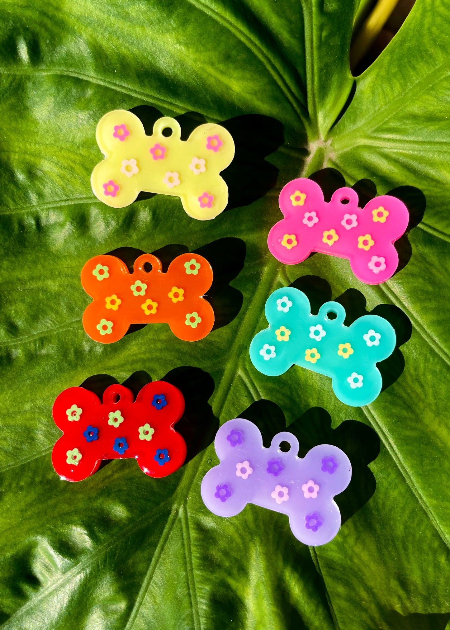 Chapita identificativa 'ÁGATA'