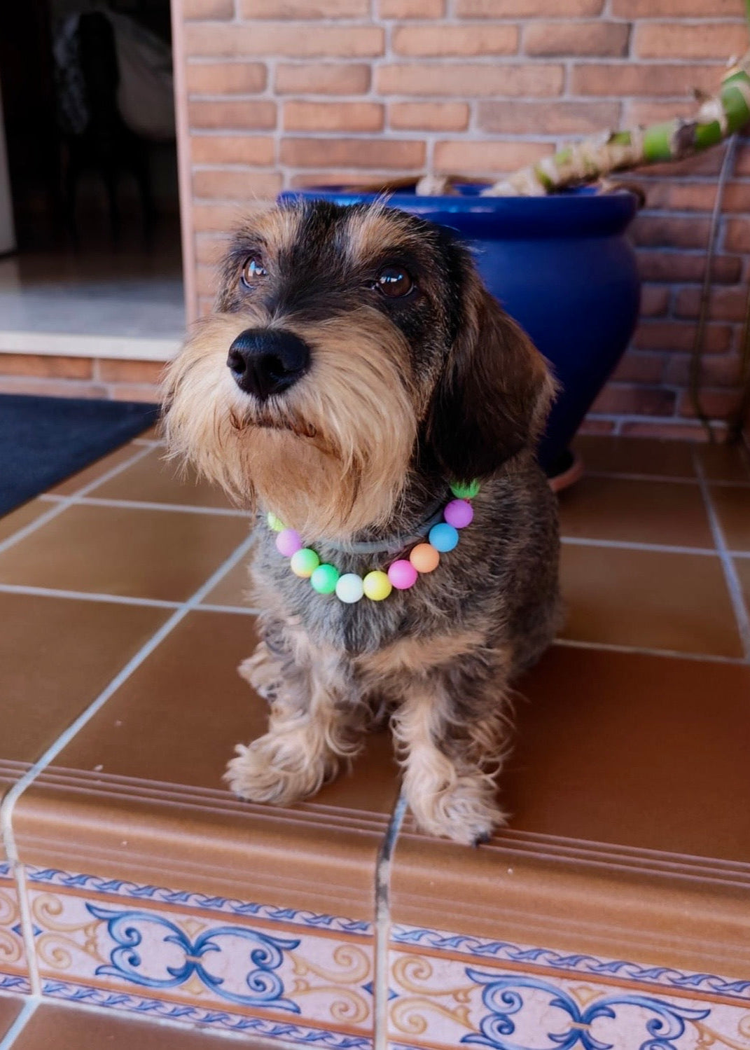 Collar de bolitas 'AURORA'