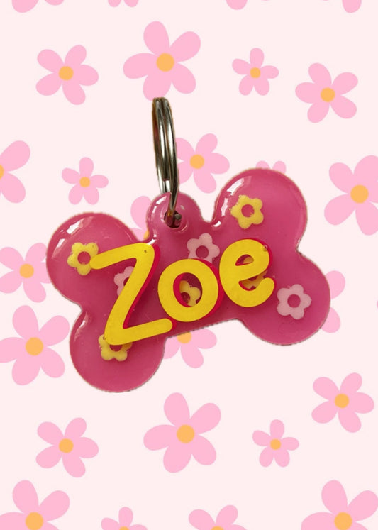 Chapita identificativa 'ÁGATA'