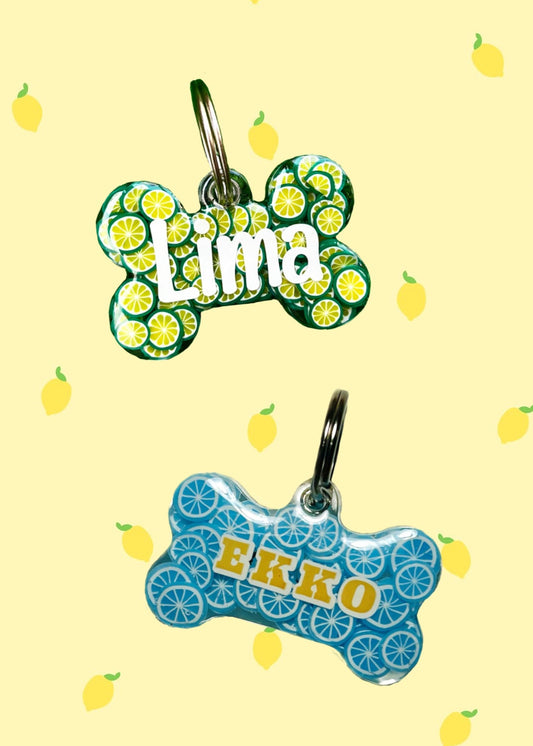 Chapita identificativa 'CITRIC'