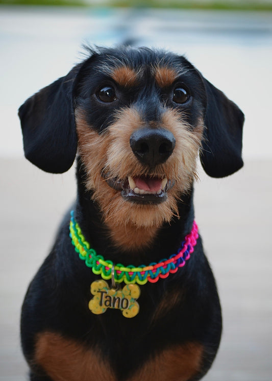 Collar de cuerda 'ARCOÍRIS'