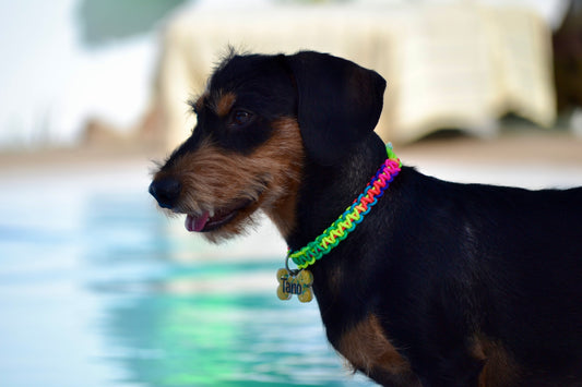 Collar de cuerda 'ARCOÍRIS'
