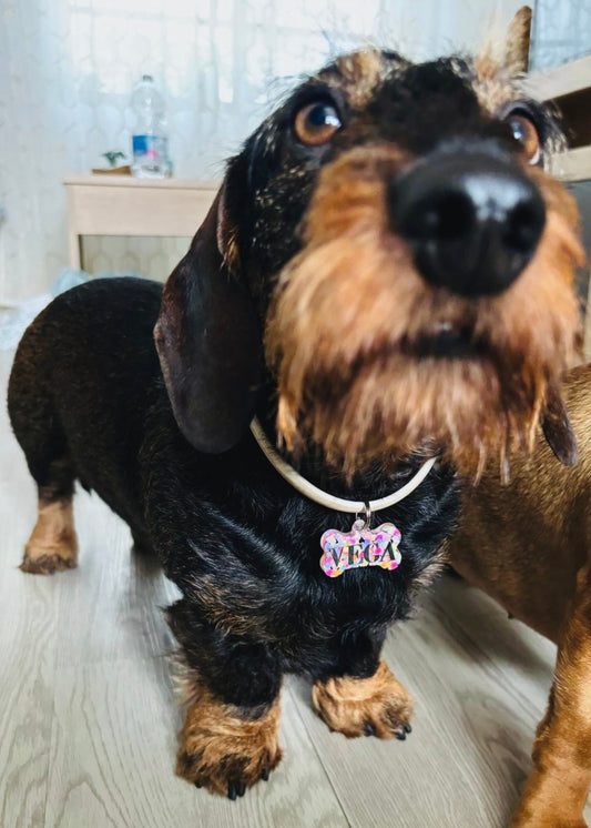 Chapita identificativa 'TWINKLE HEARTS'