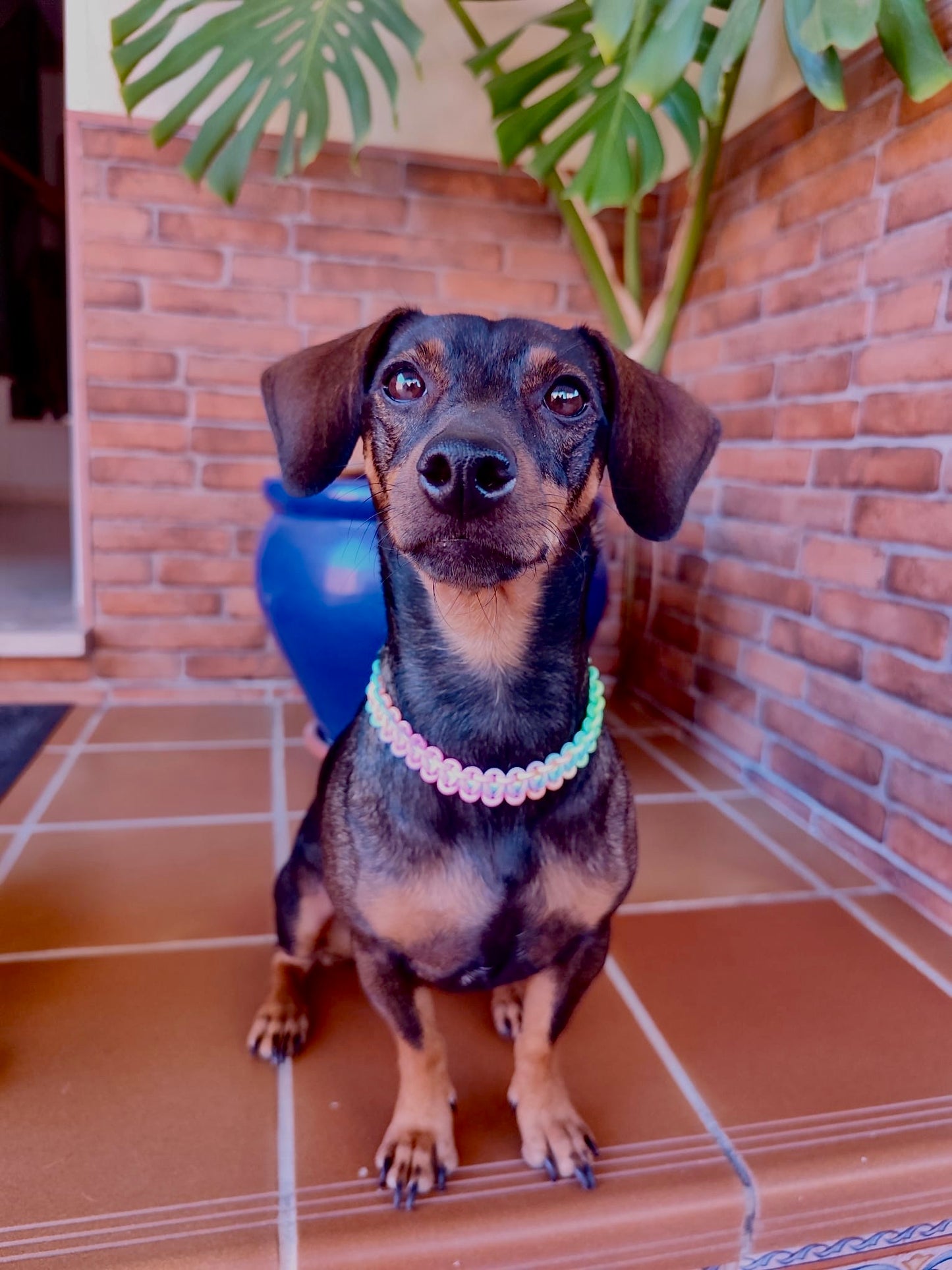 Collar de cuerda 'ARCOÍRIS'